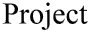 Project